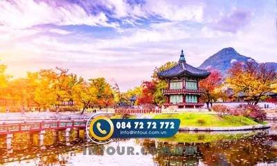 Tour du lịch Hàn Quốc 6 Ngày 5 Đêm: Busan - Daegu - Seoul