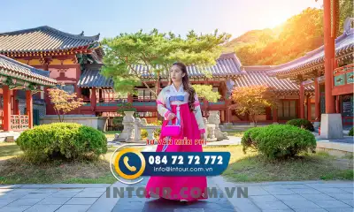 Tour du lịch Hàn Quốc 4 Ngày 3 Đêm: Seoul - Nami - Everland - Drum Cat Show