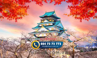 Tour du lịch Nhật Bản 4 Ngày 4 Đêm: Tokyo - Fuju - Yamanashi