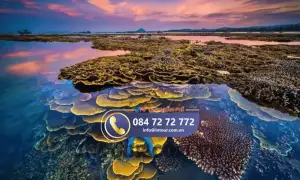 Tour Du Lịch Nha Trang - Quy Nhơn - Phú Yên 4 Ngày 4 Đêm Bằng Tàu Hoả (Xe Lửa)