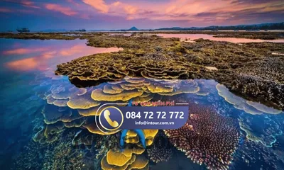Tour Du Lịch Nha Trang - Quy Nhơn - Phú Yên 4 Ngày 4 Đêm Bằng Tàu Hoả (Xe Lửa)