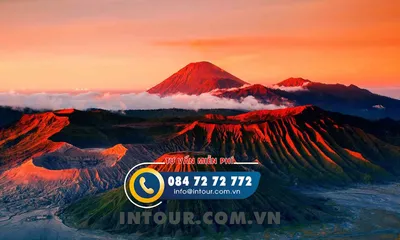 Tour Du Lịch Bali 4 Ngày 3 Đêm: D'tukad Club - Thác Ayung