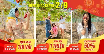 Tour Lễ Quốc Khánh 2/9/2026: Du Lịch Ninh Chữ 3 Ngày 2 Đêm