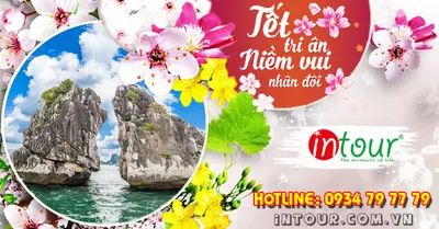 Du Lịch Tết 2026: Tour Hạ Long 4 Ngày 3 Đêm - Ngủ 1 Đêm Du Thuyền