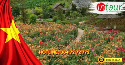 Du Lịch Lễ 30/4/2026: Tour Phan Thiết - Nha Trang - Đà Lạt 6 Ngày 5 Đêm