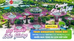 Tour Bắc Giang Singapore Trọn Gói Năm 2025
