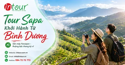 Tour Sapa Khởi Hành Từ Bình Dương Trọn Gói, Lịch Trình Đẹp