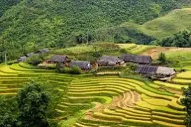 Tour Du Lịch Sapa 4 Ngày 3 Đêm