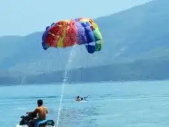 Tour Tham Quan Vườn Rau Cho Các Bé Mầm Non