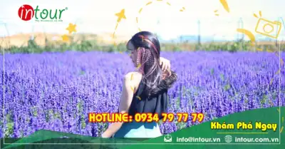 Tour Team Building - Gala Dinner Đà Lạt 4 Ngày 3 Đêm