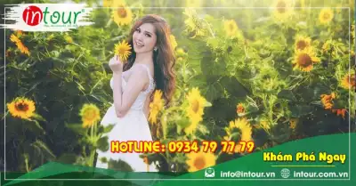 Tour Du Lịch Hà Nội Nha Trang Đà Lạt 4 Ngày 3 Đêm Bằng Máy Bay