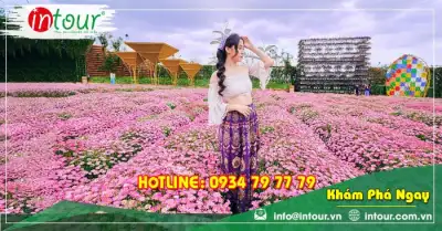 Tour Du Lịch Hà Nội Nha Trang Đà Lạt 5 Ngày 4 Đêm Bằng Máy Bay