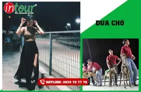 Tour Du Lịch Vũng Tàu 2 Ngày 2 Đêm Kết Hợp Team Building - Gala Dinner 2025