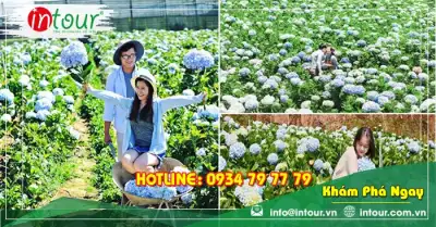 Tour Du Lịch Đà Lạt 3 Ngày 2 Đêm Đi Bằng Máy Bay