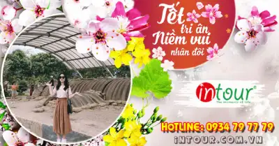 Du Lịch Tết 2026: Tour Mộc Châu - Sơn La - Điện Biên 5 Ngày 4 Đêm