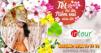 Du Lịch Tết 2026: Tour Ninh Chữ - Vịnh Vĩnh Hy - Đảo Bình Hưng 2 Ngày 2 Đêm