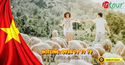 Du Lịch Lễ 30/4/2026: Tour Bình Châu Vũng Tàu 2 Ngày 1 Đêm