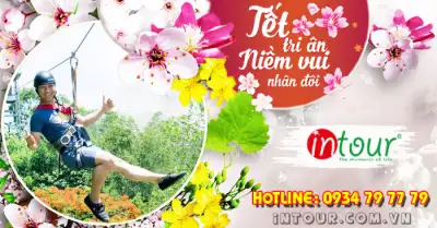 Du Lịch Tết 2026: Tour Vũng Tàu 2 Ngày 1 Đêm