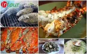 Tour Cẩm Mỹ Đồng Nai Nha Trang 3 Ngày 3 Đêm Trọn Gói Năm 2025