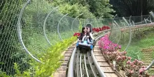 Du Lịch Tết 2026: Tour Đà Nẵng - Huế - Động Phong Nha 4 Ngày 3 Đêm