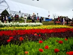 Du Lịch Tết 2026: Tour Đà Nẵng - Huế - Động Thiên Đường 4 Ngày 3 Đêm