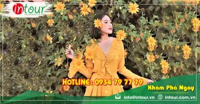 Tour Cần Thơ Phan Thiết - Đà Lạt 4 Ngày 4 Đêm Trọn Gói Năm 2025