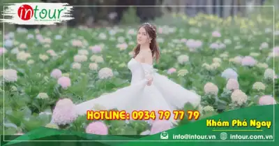 Tour Sóc Trăng Phan Thiết - Đà Lạt 4 ngày 3 đêm Trọn Gói Năm 2025