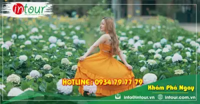 Tour An Giang Phan Thiết - Đà Lạt 4 Ngày 4 Đêm Trọn Gói Năm 2025