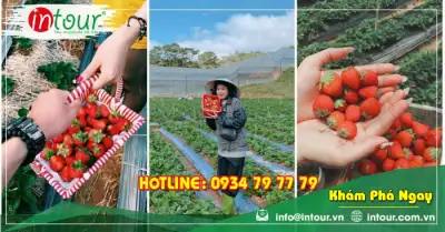 Tour Trà Vinh Nha Trang - Đà Lạt 4 Ngày 4 Đêm Trọn Gói Năm 2025
