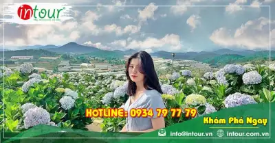 Tour Long An Phan Thiết - Đà Lạt 4 ngày 3 đêm Trọn Gói Năm 2025