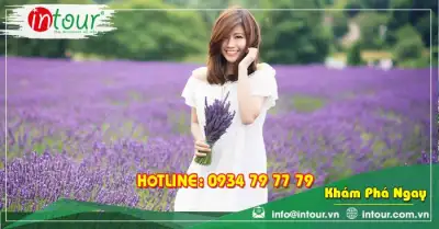 Tour Mỹ Tho/Tiền Giang  Phan Thiết - Đà Lạt 4 Ngày 4 Đêm Trọn Gói Năm 2025