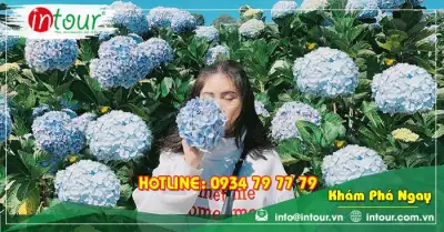 Tour Bến Tre Phan Thiết - Đà Lạt 4 Ngày 3 Đêm Trọn Gói Năm 2025