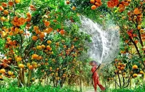 Tour Nghệ An / Vinh Miền Tây 4 ngày 3 đêm Trọn Gói Năm 2025