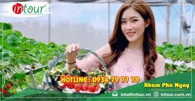 Tour Quảng Ngãi Nha trang - Đà Lạt 4 ngày 3 đêm Trọn Gói Năm 2025