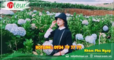 Tour Ninh Bình Đà Lạt 3 ngày 2 đêm Trọn Gói Năm 2025