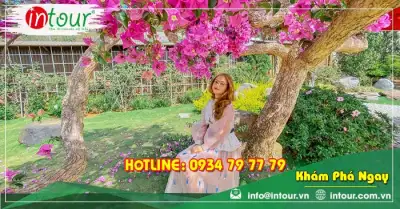 Tour Bắc Ninh Đà Lạt 3 Ngày 2 Đêm Trọn Gói Năm 2025