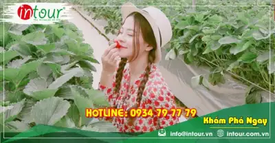 Tour Bắc Giang Đà Lạt 3 Ngày 2 Đêm Bằng Máy Bay Trọn Gói Năm 2025