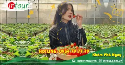 Tour Lào Cai Đà Lạt 3 ngày 2 đêm Trọn Gói Năm 2025