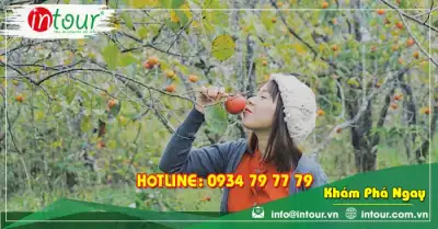 Tour Nam Định Nha Trang - Đà Lạt 4 ngày 3 đêm Trọn Gói Năm 2025