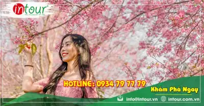 Tour Tuyên Quang Nha Trang - Đà Lạt 4 ngày 3 đêm Trọn Gói Năm 2025