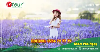 Tour Quảng Trị Đà Lạt 3 ngày 2 đêm Trọn Gói Năm 2025