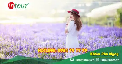 Tour Quảng Bình Đà Lạt 3 ngày 2 đêm Trọn Gói Năm 2025