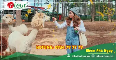 Tour Kiên Giang Đà Lạt 3 ngày 3 đêm Trọn Gói Năm 2025