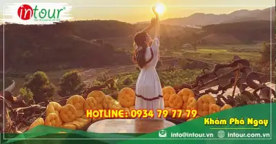 Tour Đà Lạt Côn Đảo 3 Ngày 2 Đêm Bằng Máy Bay Trọn Gói Năm 2025