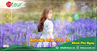 Tour Đà Lạt Phú Quốc 4 Ngày 3 Đêm Bằng Máy Bay Trọn Gói Năm 2025