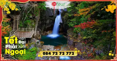 Du Lịch Tết 2026: Tour Nhật Bản 7 Ngày 6 Đêm