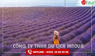 Du Lịch Tết 2026: Tour Pháp 6 Ngày 5 Đêm Tết Nguyên Đán