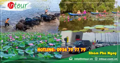 Tour Du Lịch Caravan Tháp Mười 2 Ngày 1 Đêm