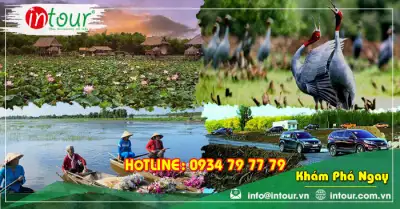 Tour Du Lịch Caravan Đồng Sen - Tháp Mười 2 Ngày 1 Đêm