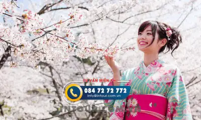 Tour Du Lịch Hàn Quốc Ngắm Hoa Anh Đào 4 Ngày 4 Đêm